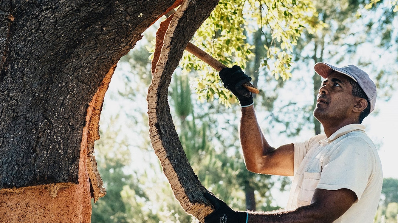 Mitä materiaalia korkki on?