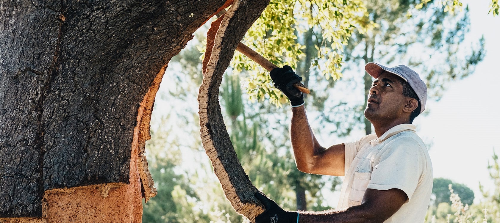 Mitä materiaalia korkki on?